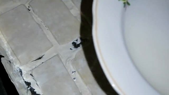 Рисование Карандашом