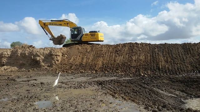 New Holland 215 B No acabamento ... смотреть онлайн