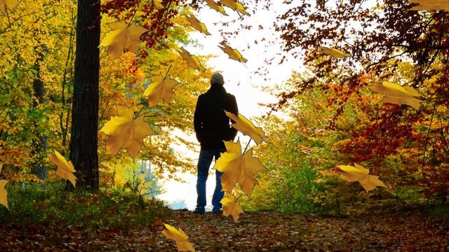 Гроздь рябины Муз И.Плахута,ст В.Некрасовой,поет Г.Погорельская смотреть онлайн