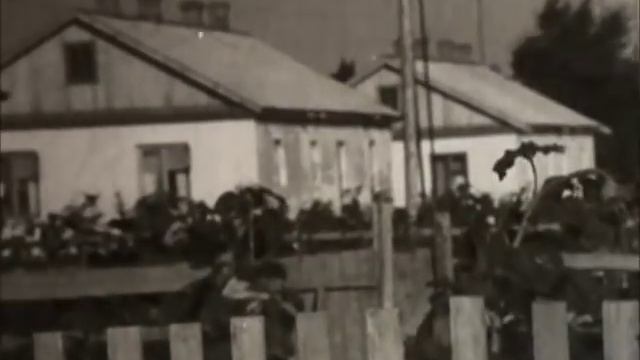 "Целина" с з "Комсомольский" Озинского р-на Саратовской области смотреть онлайн