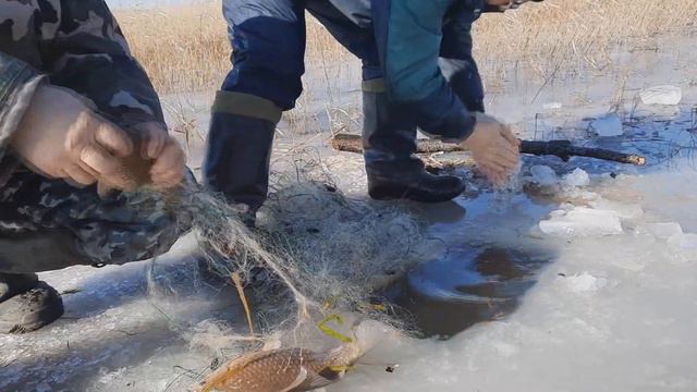 БЫСТРАЯ РЫБАЛКА СЕТЬЮ ЗИМОЙ. ПОЕХАЛ В ЛЕС.