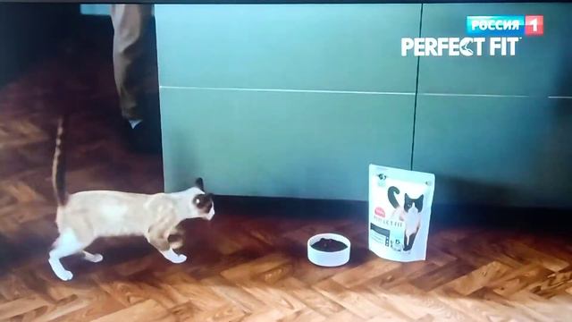 Реклама Perfect Fit #1 смотреть онлайн