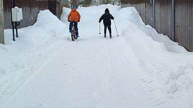Завозим дрова 3 куб м 2023 март плюс 2 Бонуса смотреть онлайн