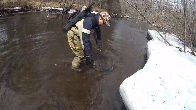 Hucho Taimen таймень обыкновенный