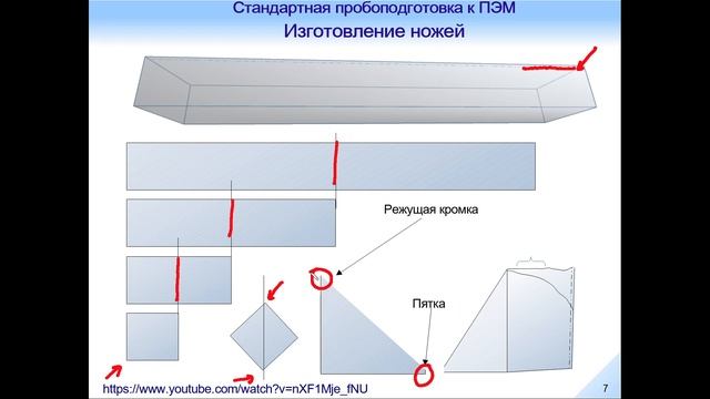 Электронная микроскопия. Лекция 3. смотреть онлайн