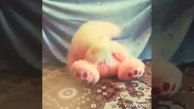 Танец медведя 12 смотреть онлайн