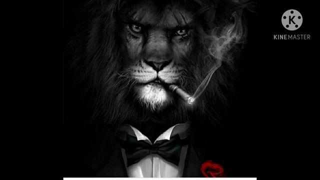 улетай на крыльях ветра ремикс смотреть онлайн