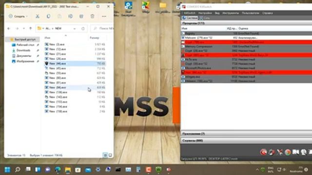 Тест антивирусов Январь 2022 - 14 Dr.Web Security Space для Windows 12.0 смотреть онлайн