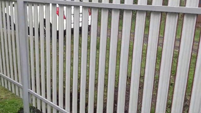 Забор из евроштакетника. Обзор забора СНТ Лайское. смотреть онлайн