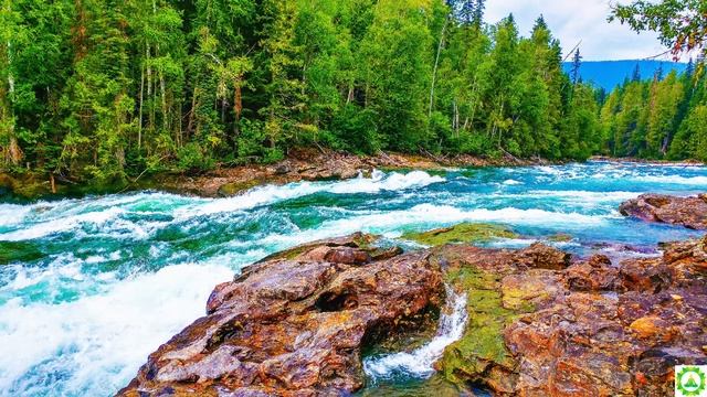 river nature amazing cool music | river sounds | cool relaxing music | # on relaxing nature music смотреть онлайн
