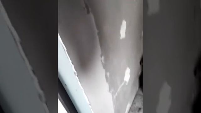 VID 20150218 165941 смотреть онлайн
