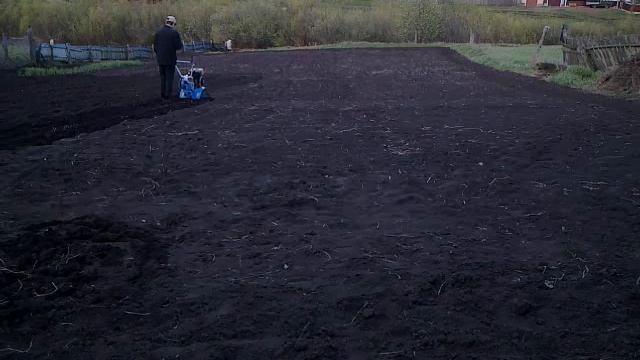 Мотоблок Нева культивация на стандартных фрезах смотреть онлайн