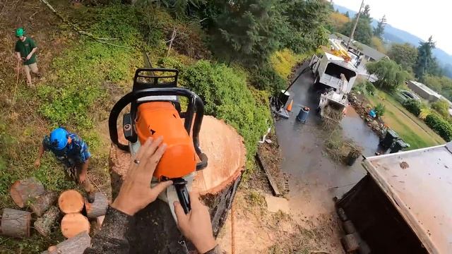 Guilty of Treeson Tree Service! I Finally Bought a Bucket Truck!? смотреть онлайн