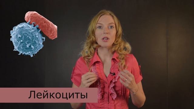 КРОВЬ. ЕГЭ по биологии | TutorOnline | Биология смотреть онлайн