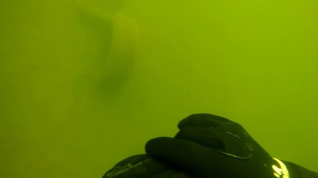 Дайвинг в Щелково.   Доломитовый карьер. Дайвинг в России. Лучшие места для погружения. Дайв сайт.