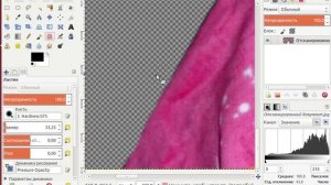 ЗАМЕНА ФОНА В РЕДАКТОРЕ GIMP.