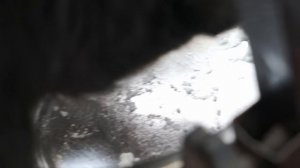 Ротвейлер Конор 2 месяца ест творог