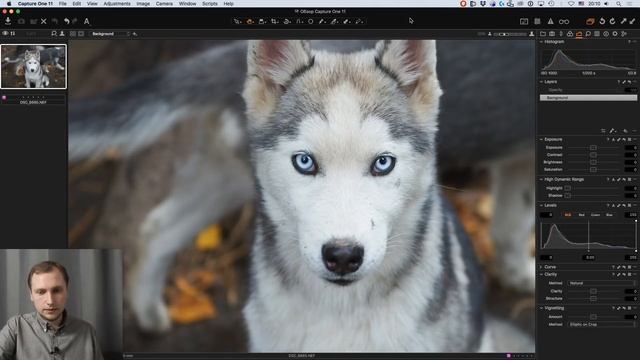 Обзор новинок Capture One Pro 11. Александр Свет смотреть онлайн