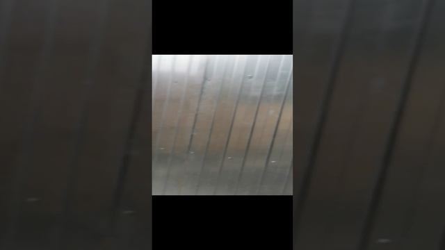 VID_20230626_112534.mp4