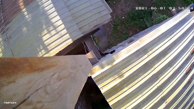 поворотная камера WHD813B Hiseeu смотреть онлайн