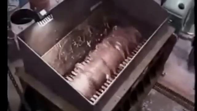 ЧЕМ НАС КОРМЯТ - СВИНЕЙ ВМЕСТЕ КИШКАМИ, ШКУРАМИ И ОТХОДАМИ ПРЯМО ВМЯСОРУБКУ смотреть онлайн