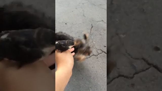 Мой ерк смотреть онлайн