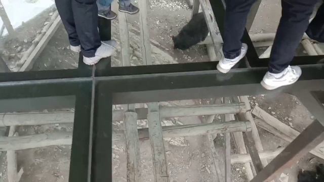 Стеклянный мост в Сафари-парке. Геленджик. смотреть онлайн