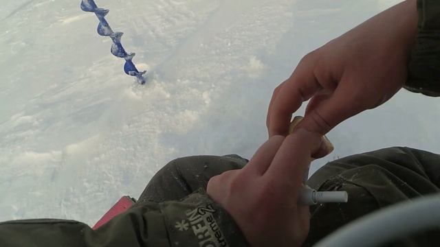 Атака судачат-карандашей! Рыбалка на Обском водохранилище в глухозимье. смотреть онлайн