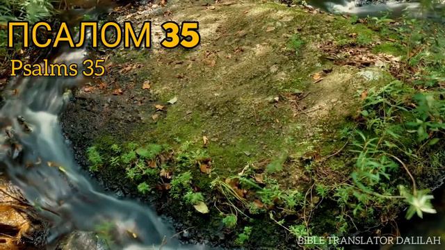 библейские псалмы (31-40) смотреть онлайн