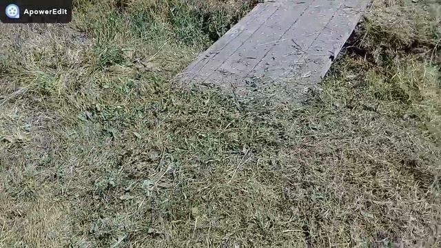 ПЕРВАЯ ЗАРПЛАТА С ЮТУБА/ДЕРЕВЕНСКИЕ БУДНИ/МУЖ ЛЮБИТ ТРИММЕР БОЛЬШЕ ЧЕМ МЕНЯ смотреть онлайн