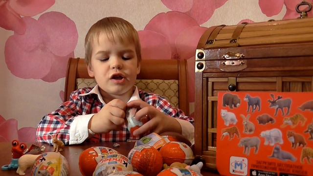Волшебный сундук с сокровищами. #Киндер Сюрпризы.#Kinder Surprise Animal Planet смотреть онлайн