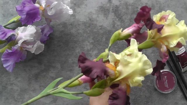 Ирис 2. Iris 2. смотреть онлайн