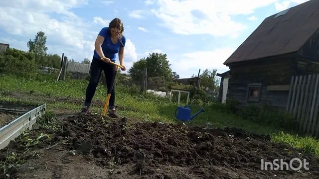 КУПИЛИ ЗАБРОШЕННУЮ ДАЧУ/28/КАКОЙ УЖАС,ВСЕ ЗАРОСЛО/РАЗРЫХЛИЛА/ПОДКОРМИЛА/ВЫСАДИЛА смотреть онлайн