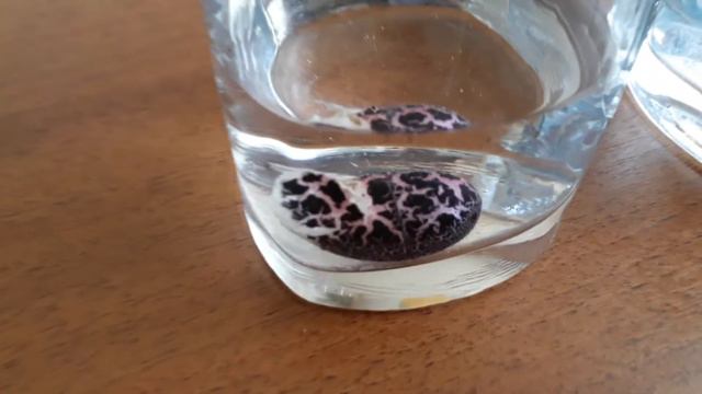 Динозавры вылупляющиеся из яиц ШОК Распаковка и обзор игрушек с Алиэкспресс смотреть онлайн