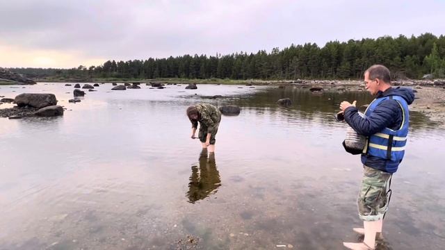 Смотрим морских звёзд, гуляем по лесу, плаваем по Белому морю ? Ника с Женей еще и медуз ловят