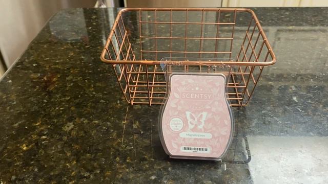 Scentsy Saturday - Magnolia Linen смотреть онлайн