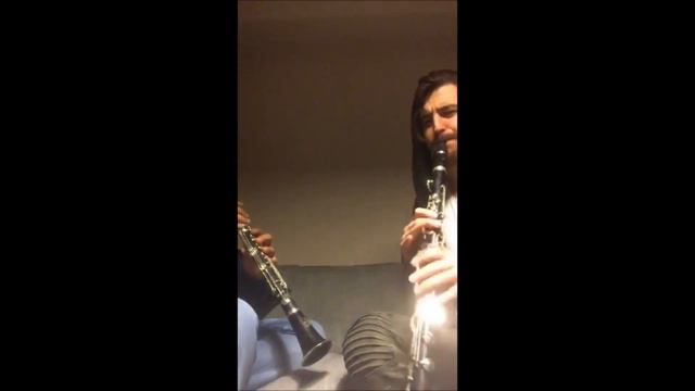 Koray Akgöz & Tarık Baran - Haydi Söyle Klarnet Cover смотреть онлайн