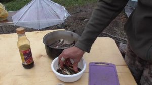 Засолка рыбы от Славы Кастрикина