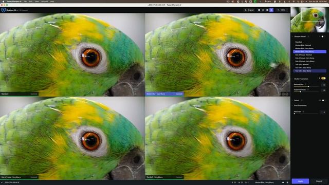How YOU Should Use Sharpen AI as a LIGHTROOM PLUGIN смотреть онлайн