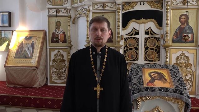 Неделя пальмовых ветвей (Вербное воскресенье).Слово Пастыря. Протоиерей Павел Дудин. смотреть онлайн