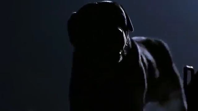 Скотный двор  (США - 1999г.)