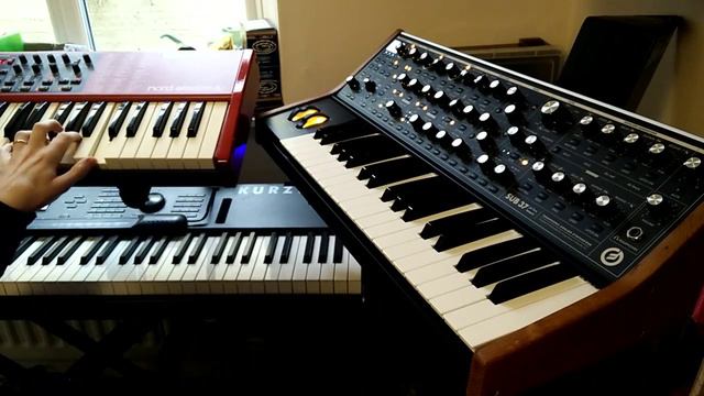 Any Colour You Like Keyboard Solo смотреть онлайн
