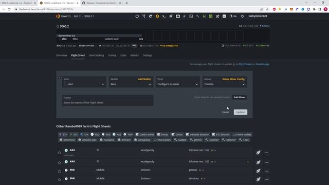 Кастомный Damominer Aleo в Hive OS (Пока еще соло) смотреть онлайн