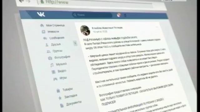 Под Рязанью живодеры сняли с щенка шкуру смотреть онлайн