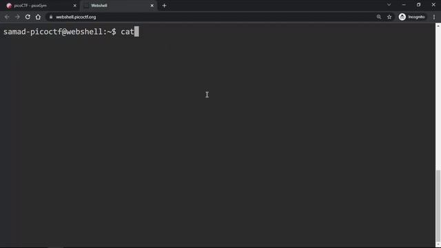 Python Wrangling | picoCTF 3 смотреть онлайн