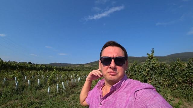 ОТДЫХАЮ С РОДИТЕЛЯМИ НА ВИНОГРАДНИКАХ В АЛЬПАХ. АВСТРИЯ. смотреть онлайн