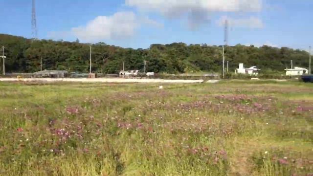 Cosmos Field in Kin town смотреть онлайн