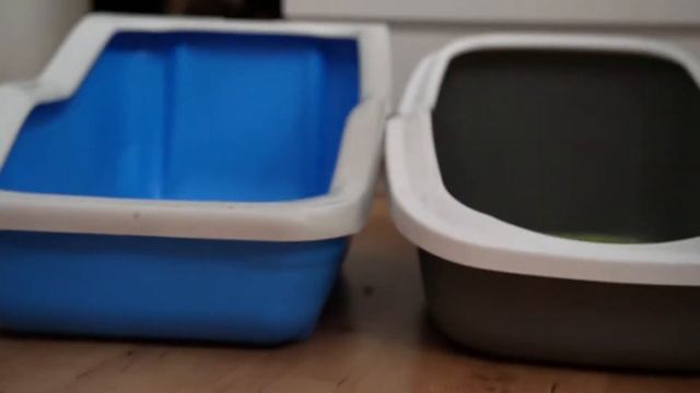 Ремонтный Университет