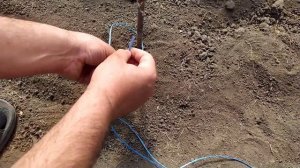 Как подвязать огурци. Супер способ.