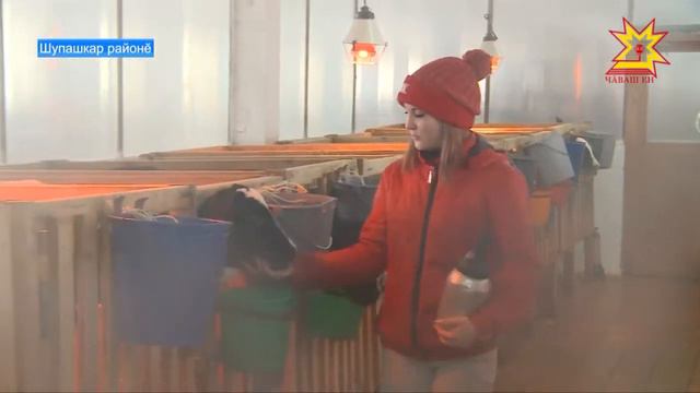 Çамрăксенче - ял пуласлăхĕ